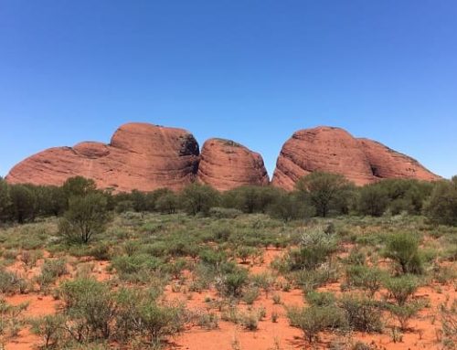 10 лучших и необычных национальных парков Австралии 2023 года