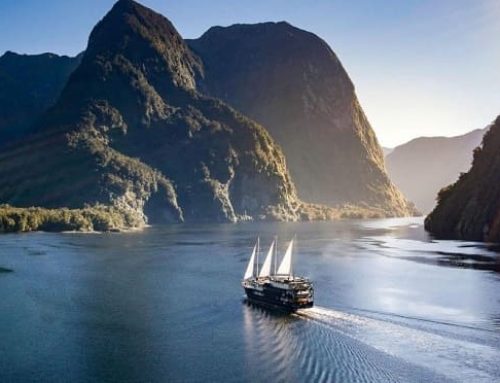 Лучшие национальные парки Новой Зеландии